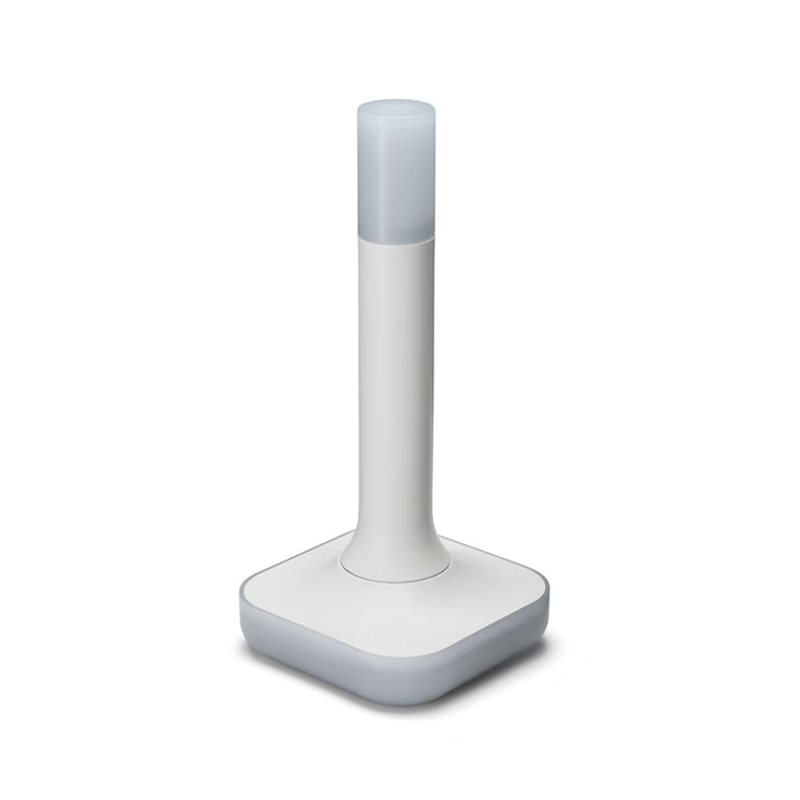 Matter Hub Thread - Home Assistant Connect ZBT-2 Compatible avec