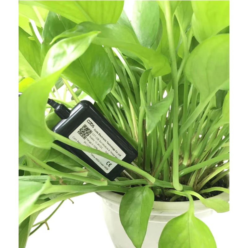 Humidimètre de sol Portable RS - Temperature Humidity Sensor avis et prix