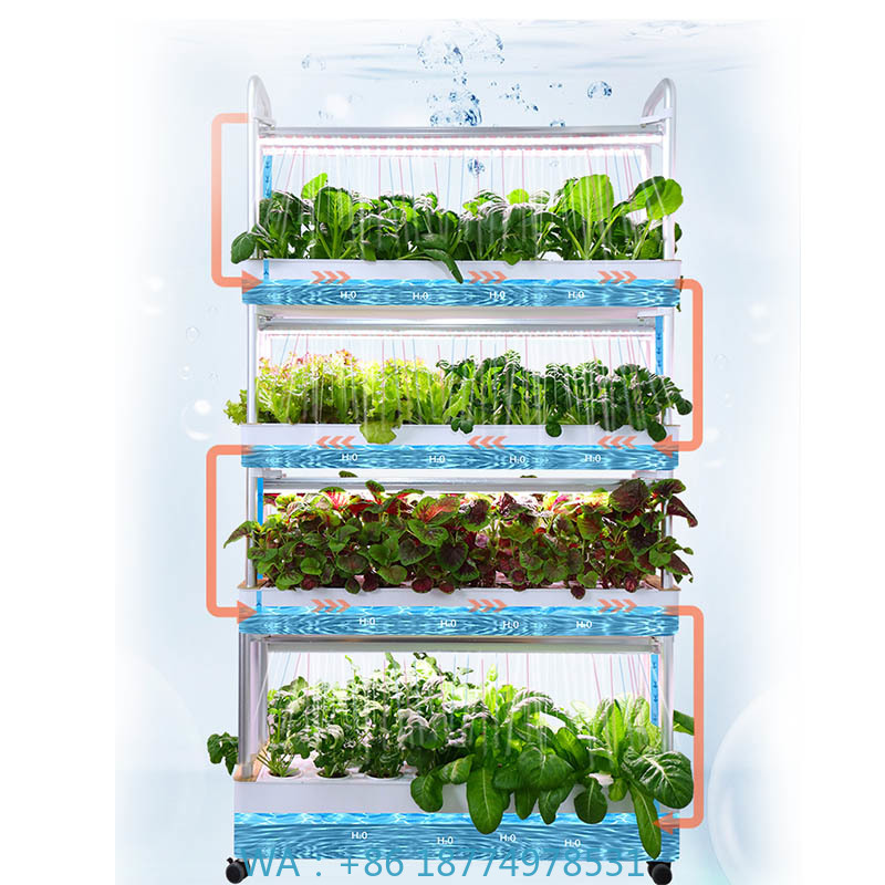 Système de plantation ydroponi - Home Automation Systems Diy avis et prix