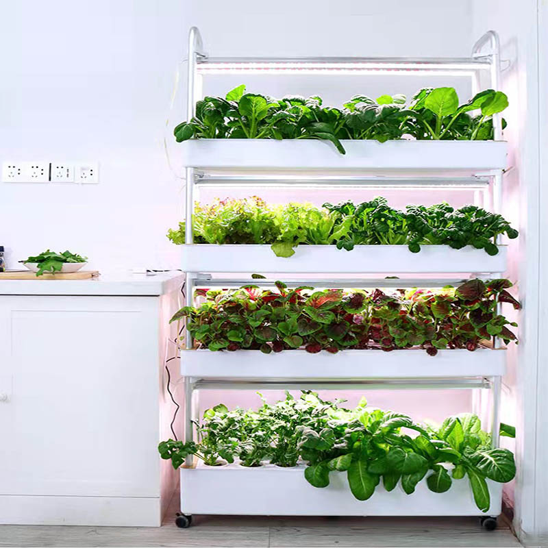 Système de plantation ydroponi - Home Automation Systems Diy avis et prix