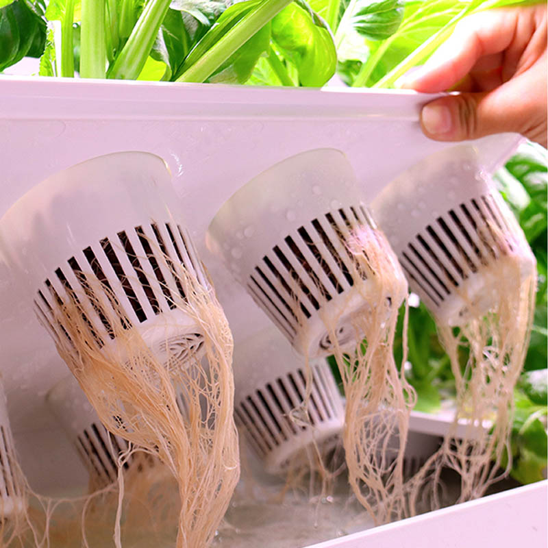 Système de plantation ydroponi - Home Automation Systems Diy avis et prix
